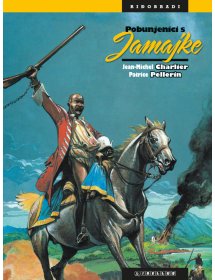 Riđobradi, 24. knjiga